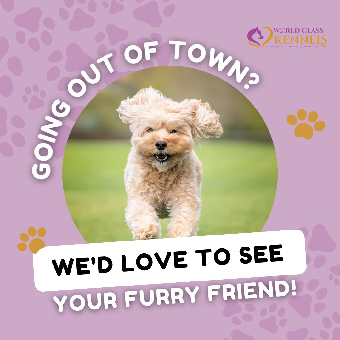 Are you going out of town this Fall? We'd love to have your furry friend with us!

#chelseaal #Alabama #invernessal #mountainbrookal #HighlandLakes #HelenaAL #ForestOaks #AlabasterAL #GardendaleAL #JemisonAL #ClantonAL #PuppyLove #FallVacation #greystoneal #VestaviaHills