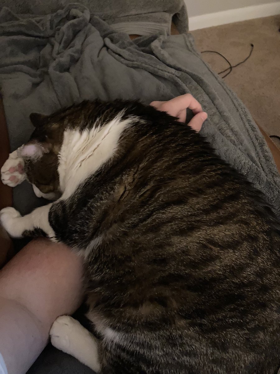 Hooman here: I have no clue what I did to deserve this level of love/cuteness. 🥹🥹🥹