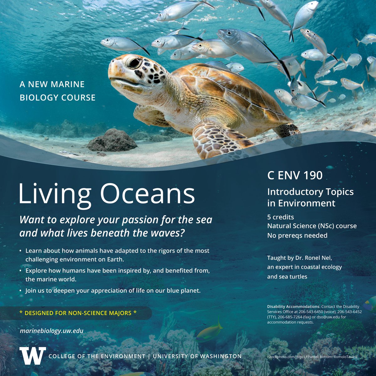 📢 NEW COURSE ALERT 🐢Unveil the wonders of the ocean with a @UW #MarineBiology course taught by Dr. Nel, who specializes in coastal ecology & sea turtles. 👉Designed for non-science majors 👉5 credits 👉No pre-reqs needed 👉Starting in winter 🔵Sign up marinebiology.uw.edu/news-stories/2…