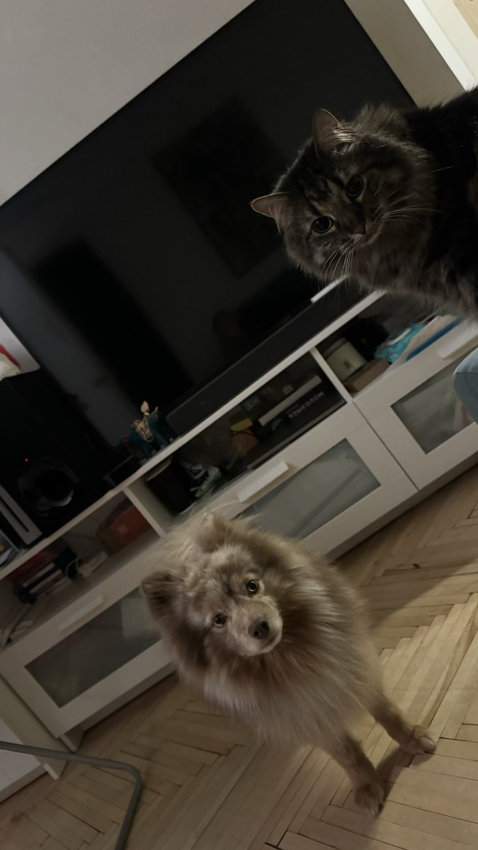 mrbrazhnik's tweet photo. Забил на тви и решил просто все документировать в телеграмм. Почему-то там хочется делиться информацией https://t.co/1xPyG0E6IJ