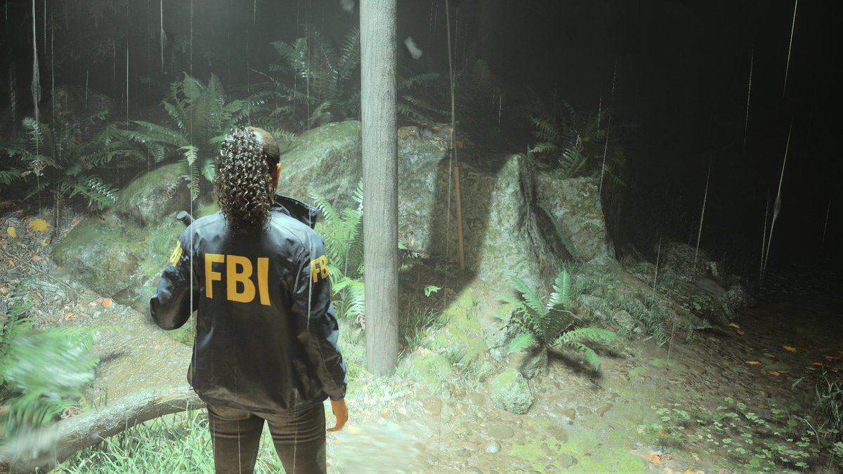 synnnapse's tweet photo. #PS5Share, #AlanWake2 https://t.co/CGtzcpPgv9