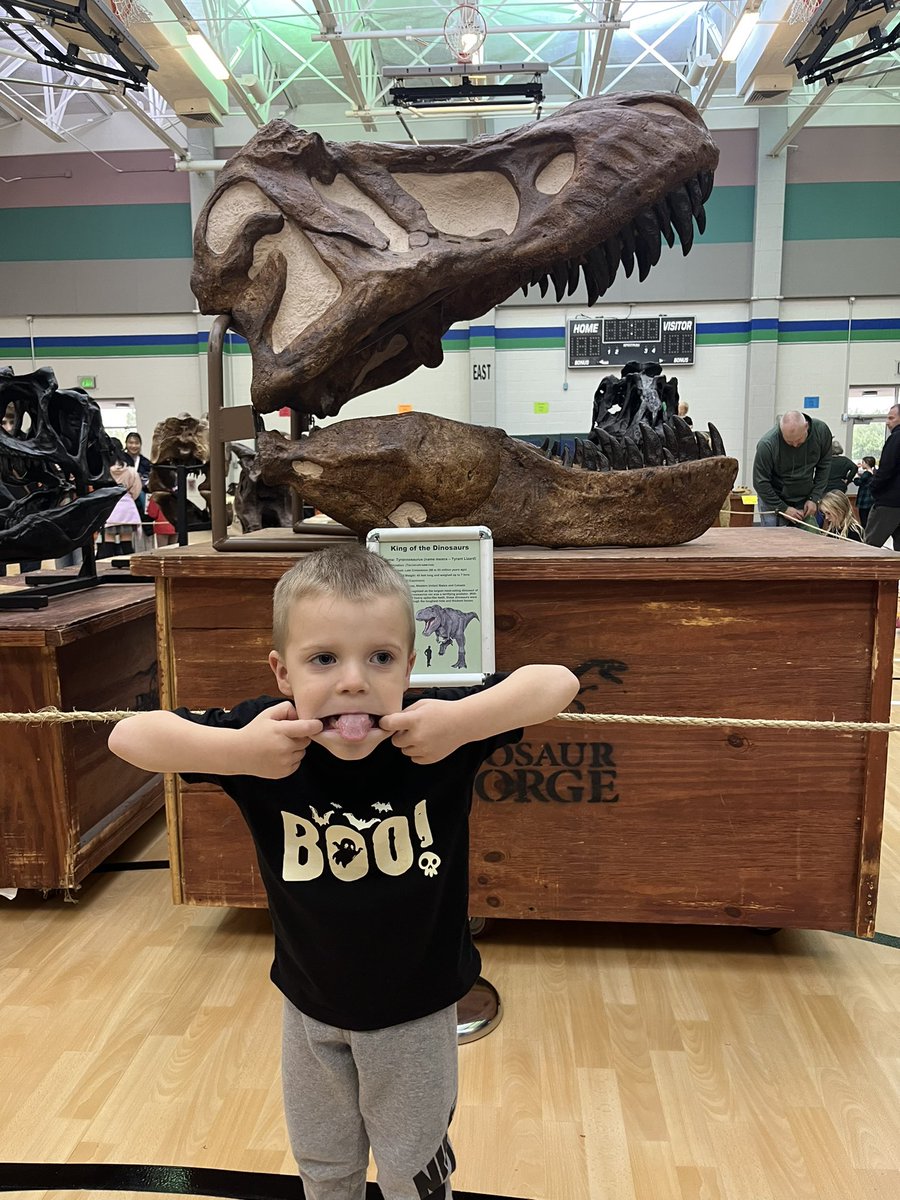 MrsViard's tweet image. Such a fun afternoon visiting @okekoalas to see some dinosaurs with our friends! The excitement brought out our silly side🤪! @paige_hellman