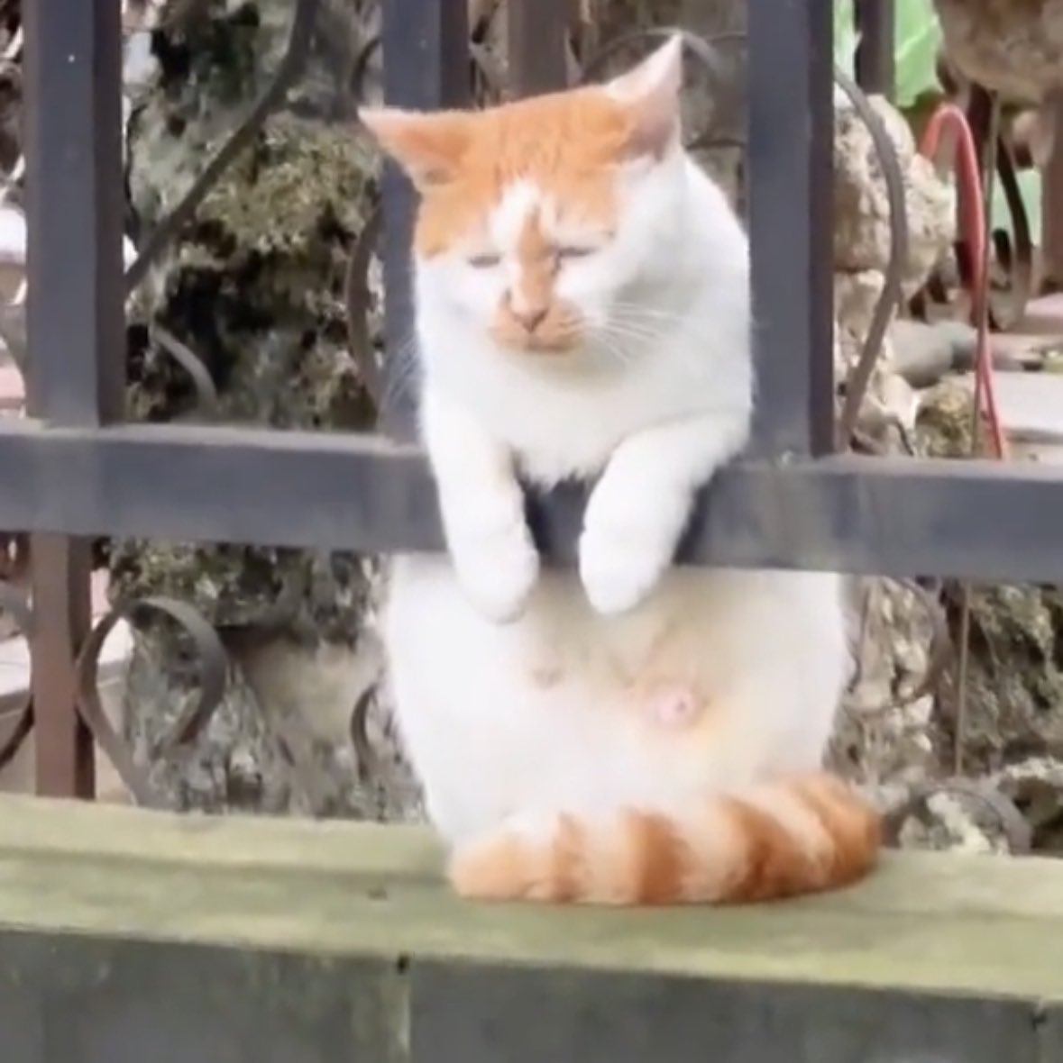 집가고싶당...
한국도가고싶당..
엄마보고싶다..
개졸리다...