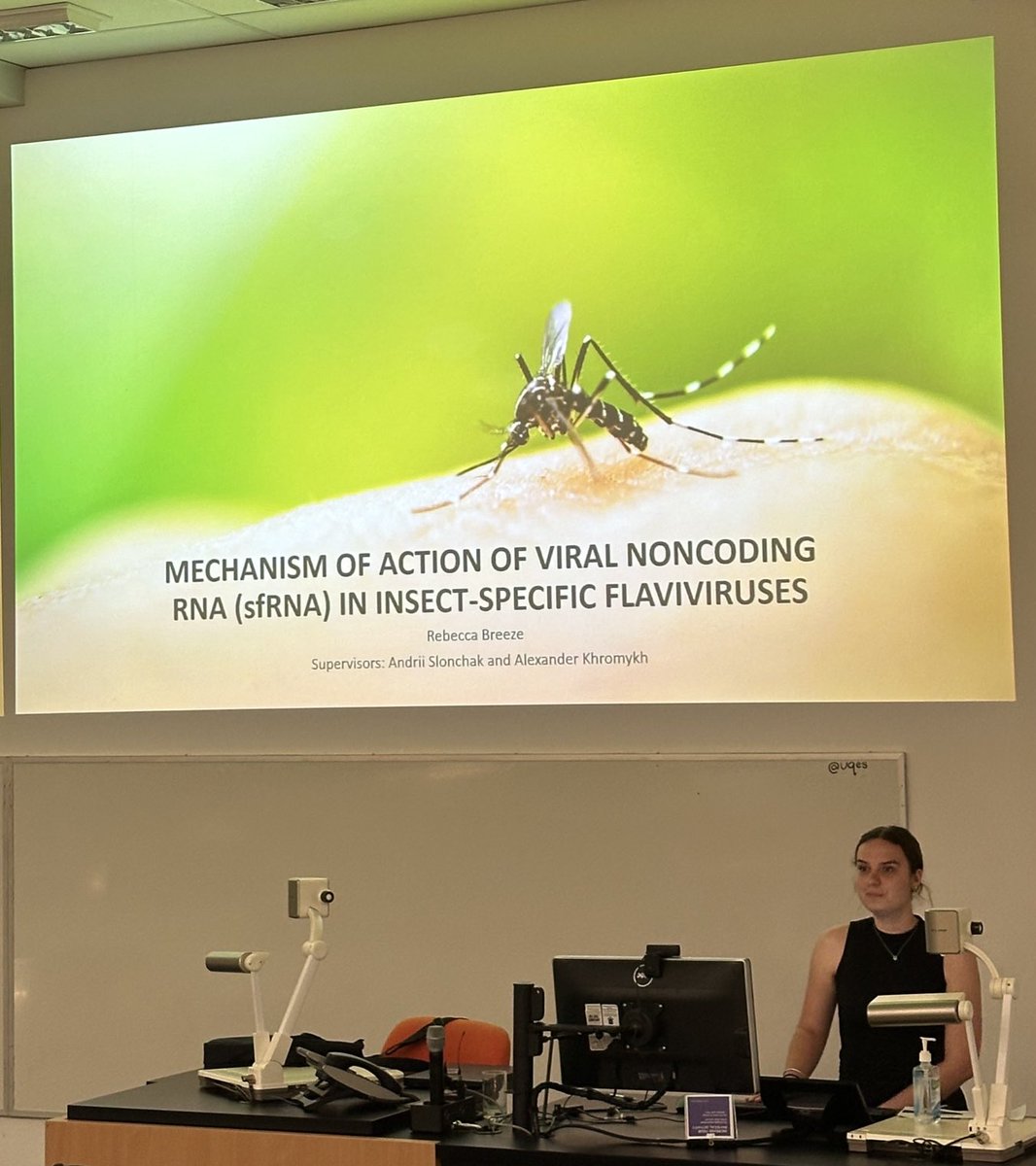 Our second honours student from ⁦@KhromykhAlex⁩ lab with ⁦@andriislonchak⁩ is Rebecca Breeze presenting the pains and successes of generating sfRNA deficient mutants in insect specific flaviviruses.