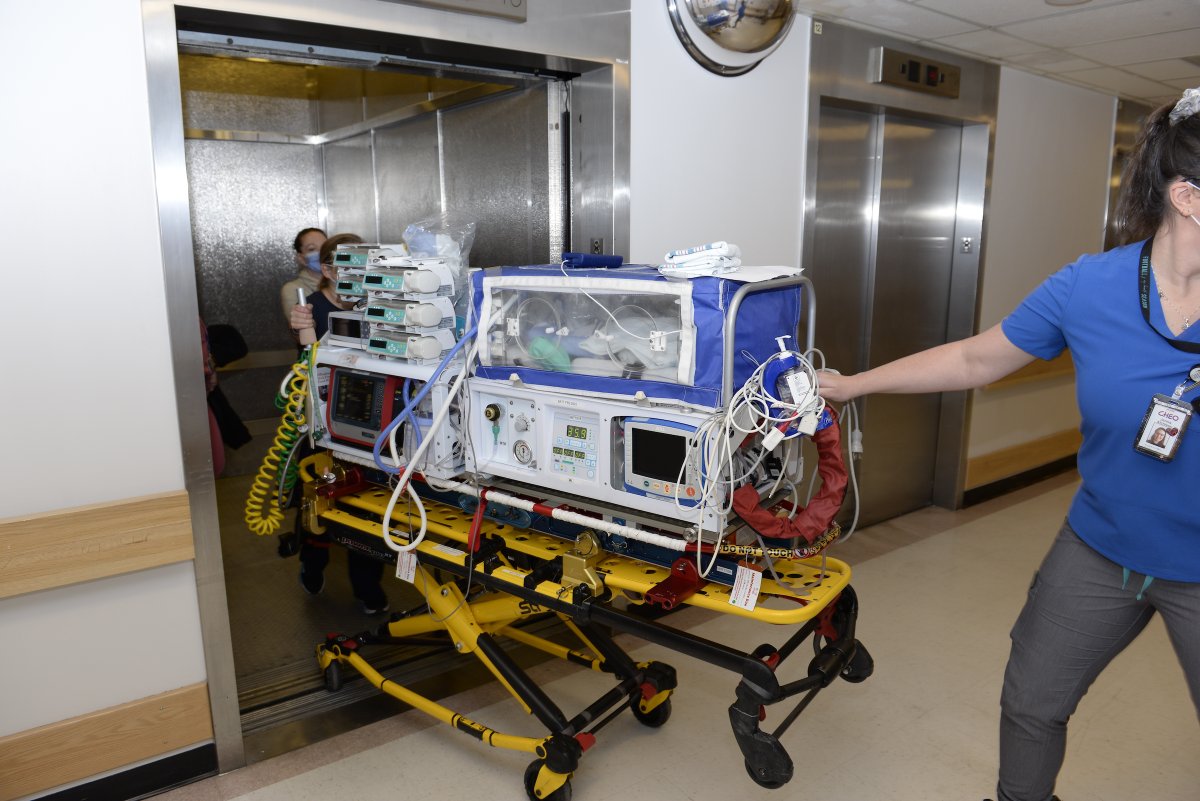 OttawaHospital's tweet image. Our Neonatal ICU babies are in the process of being transferred back to the General Campus. 💙
We’re extremely grateful to the teams at @OttawaFire and @CHEO for their tremendous support in ensuring the safety of our most vulnerable patients.