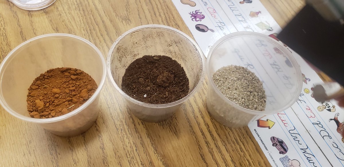 Samantha Wasdin, Ed.S tweet media