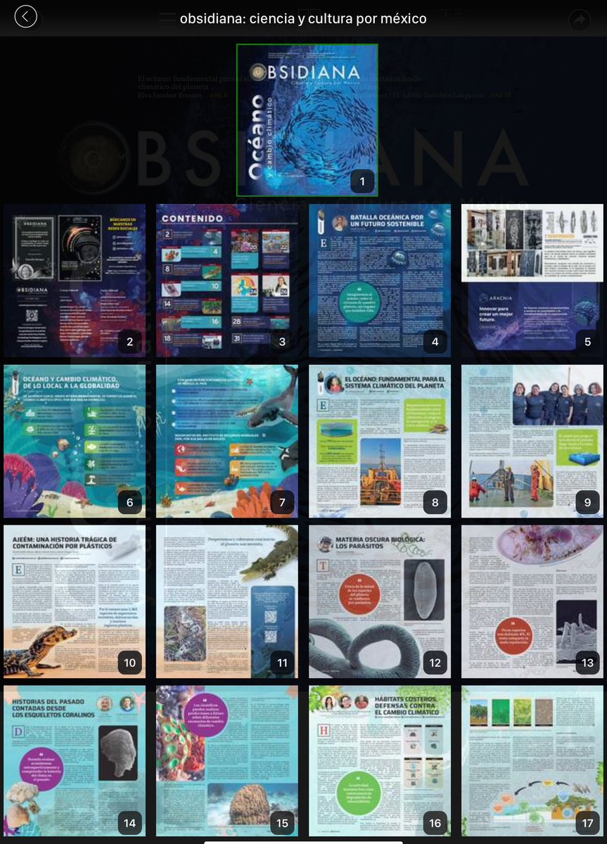 Aracnia_i's tweet image. Te invitamos a leer la última edición de la revista @obsidiana_mex con el tema “Océano y Cambio Climático”.

📌 Disponible en: 
obsidianadigital.mx
issuu.com/obsidiana_mx

#DemocratizandoElConocimiento #InnovarParaCrecer #CTI #Océano #CambioClimático