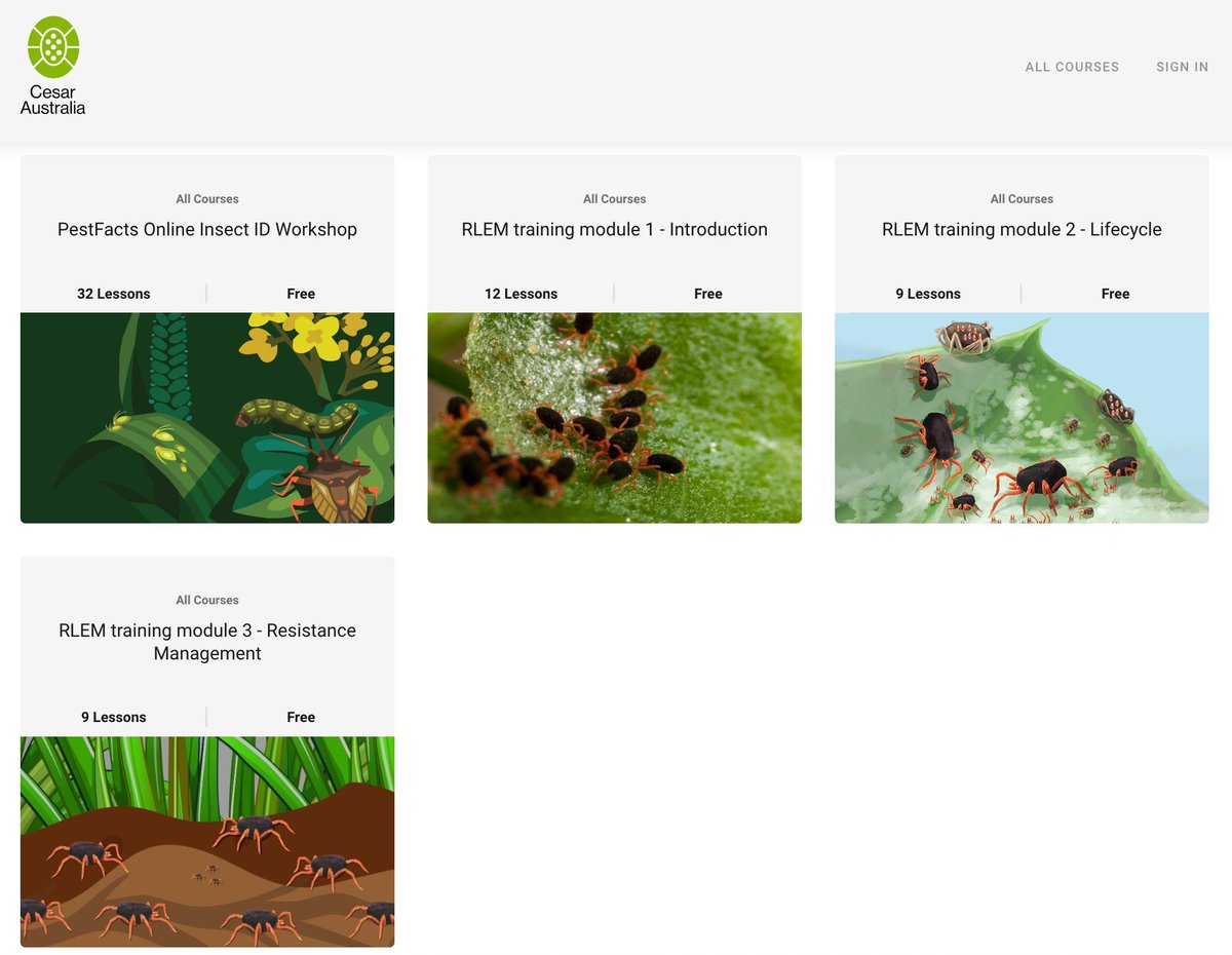 Around this time of year, redlegged earth mites will likely be in diapause. 

Complete our #RLEM online training modules supported by the <a href="/theGRDC/">GRDC</a> to learn more about their lifecycle, and resistance management strategies. 

Access all modules for FREE: buff.ly/3IsDTxs