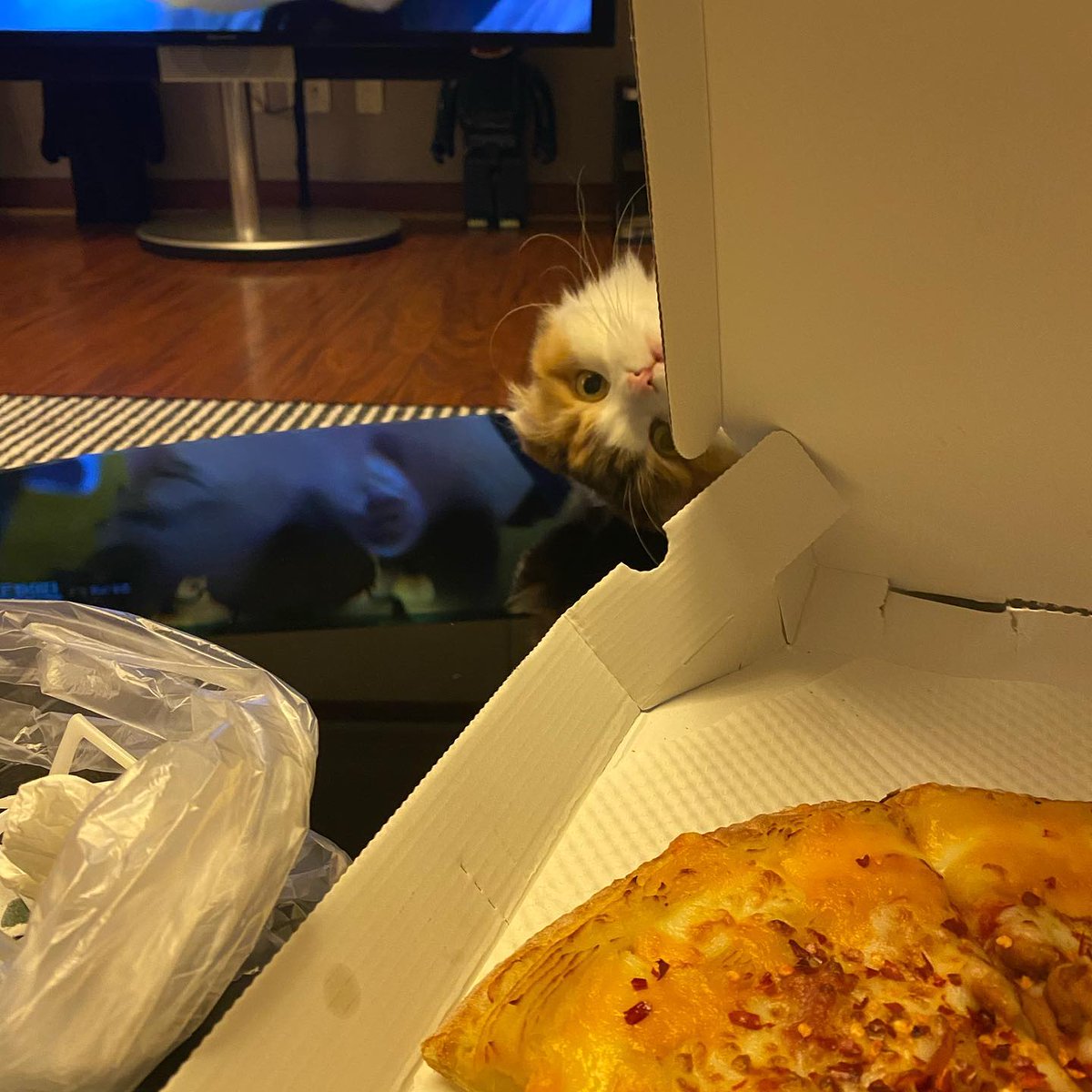 trybendsky's tweet image. Lovely😋