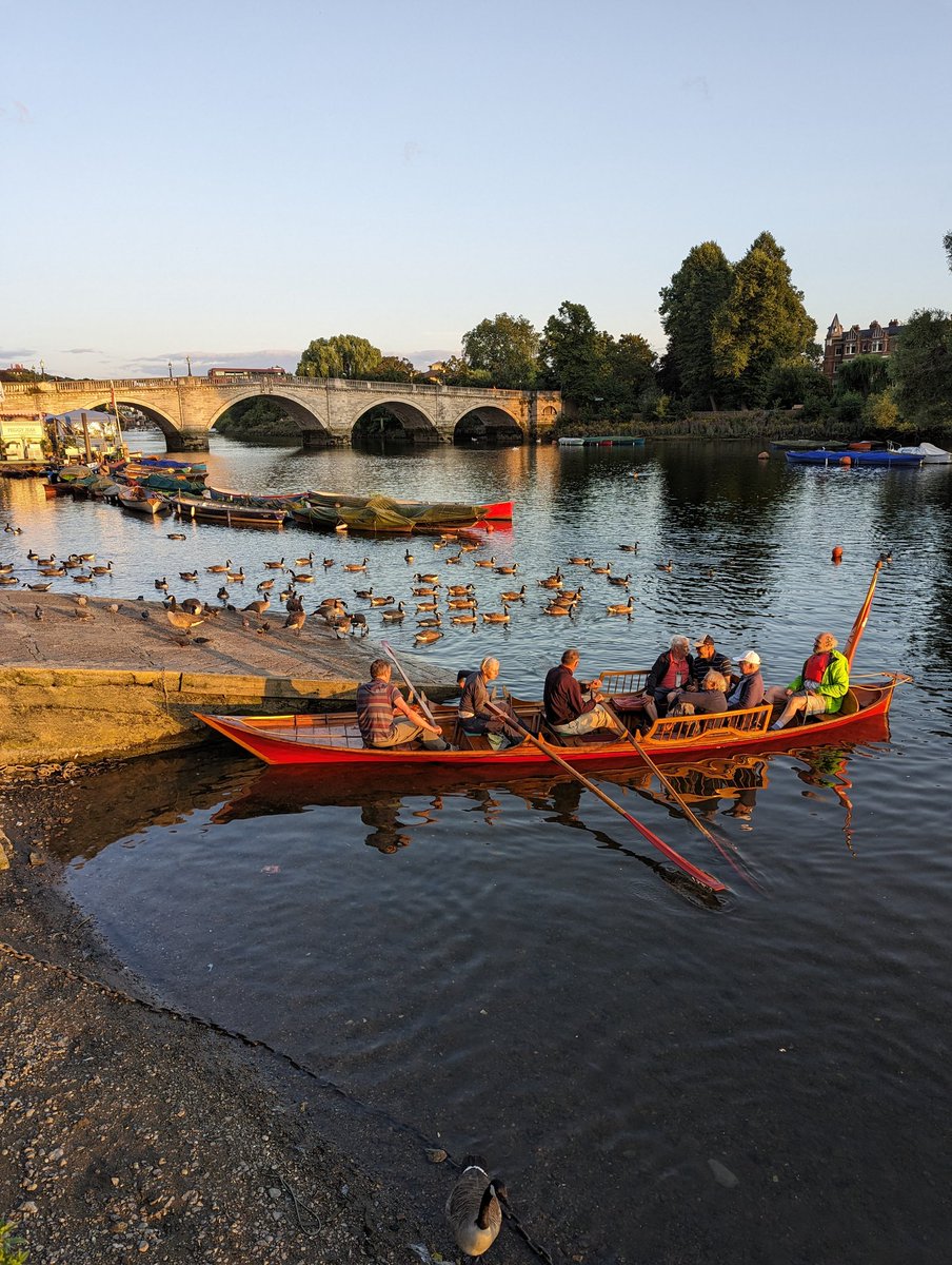 Dr Aleksandar (Alex) Zivanovic tweet media