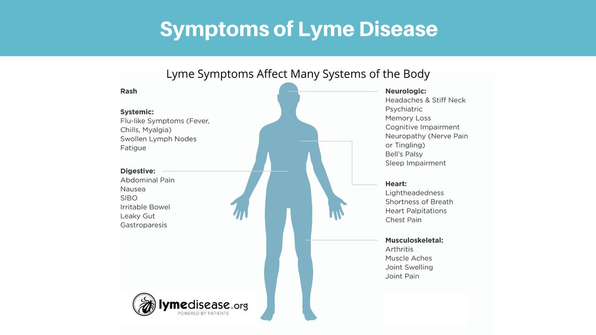 LymeDisease.org tweet media