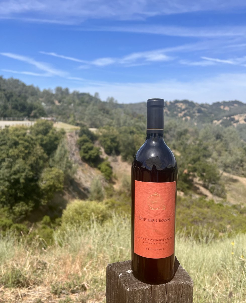 Raising a glass to National #Zinfandel Day 🍷🍇 Our home in #DryCreekValley provides an ideal microclimate and terroir for producing Zinfandel. Fun fact: Some of the Zinfandel vines found here are over 120 years old!