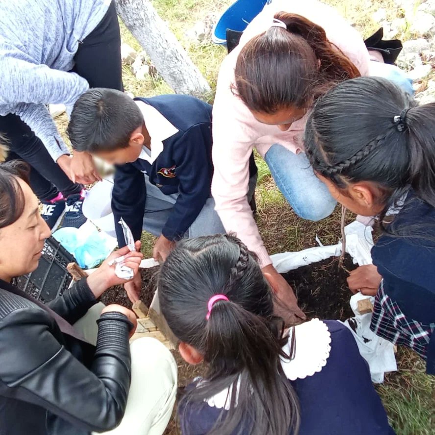 DIF_SanFelipe's tweet photo. 🥦🥬🥕ʜᴜᴇʀᴛᴏ ᴇꜱᴄᴏʟᴀʀ
Realizamos la siembra de hortalizas para el #HuertoEscolar de la Primaria Benito Juárez de #EjidoDeJalpa y del Preescolar Ignacio Montes de Oca en #EjidoSanJose de  #SanPedroElAlto. 

#JuntosPorTuFamilia seguiremos #TrabajandoARasDeTierra https://t.co/LmCmu7pbB0