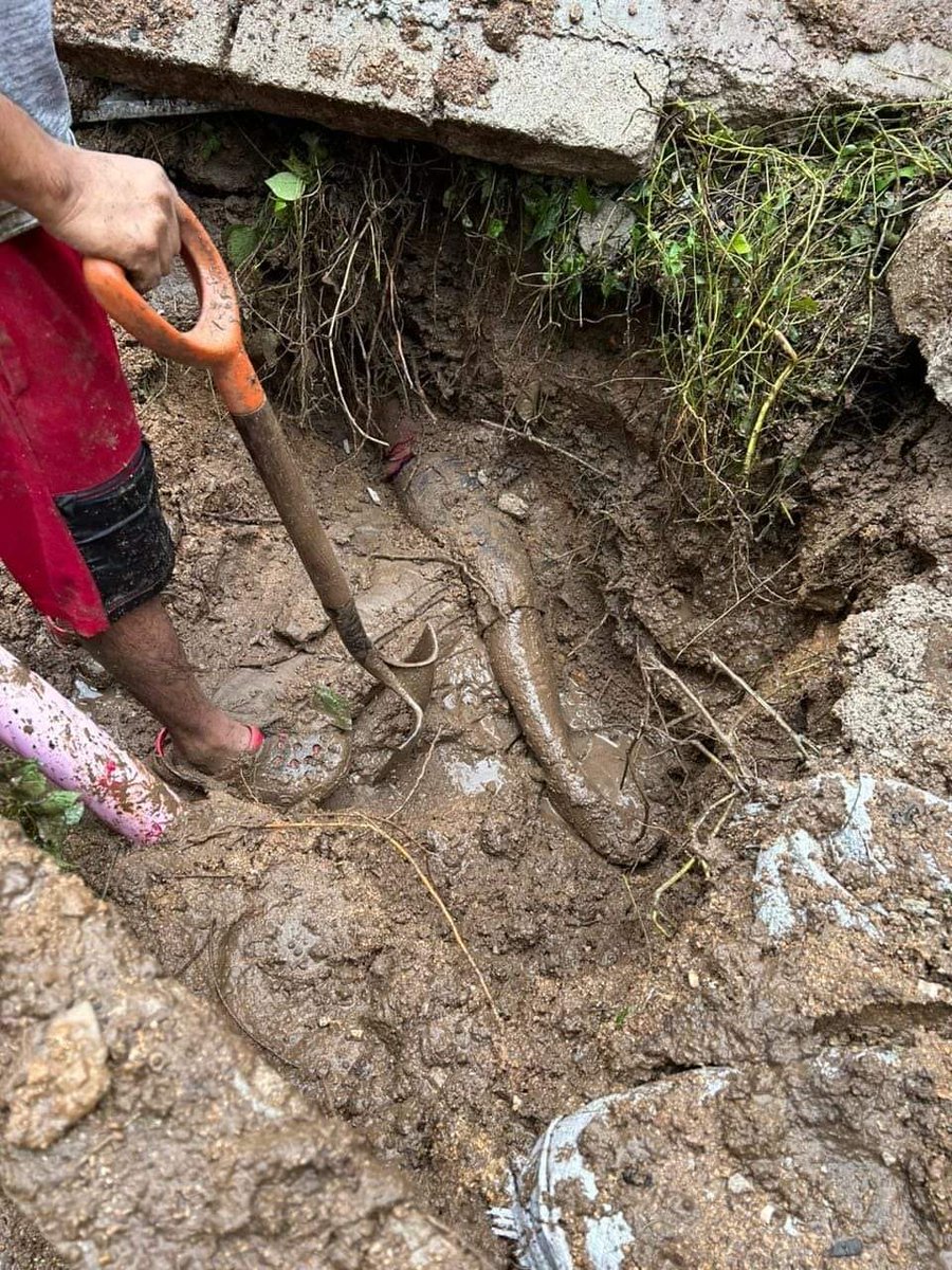 Otra tragedia que les cae como "anillo al dedo" para hacerse las víctimas de los conservadores.
