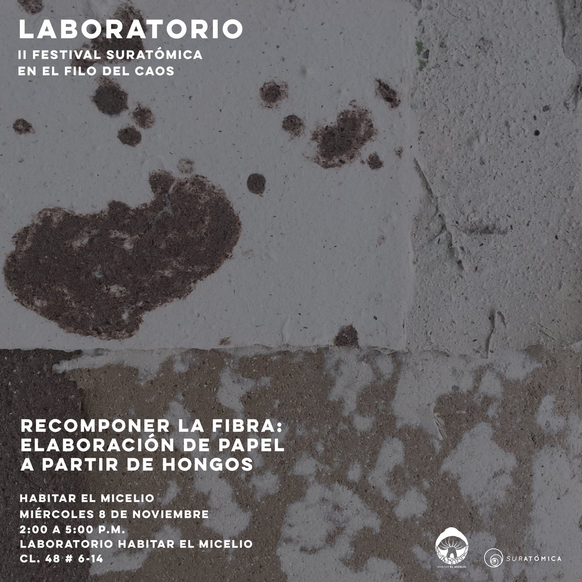 suratomica's tweet photo. Laboratorio: “Recomponer la fibra: elaboración de papel a partir de hongos” por Habitar el Micelio, en su laboratorio!! 🍄🍄🍄!!

MIÉRCOLES 8 DE NOVIEMBRE
2:00 A 5:00 P.M.
Cl. 48 # 6-14

[Evento gratuito - Con registro previo]

+INFO Y REGISTRO EN: https://t.co/ZtU2M6mu71 https://t.co/SphmWxtcq3