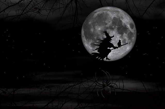 authorstewmini's tweet photo. Witches, 
   stitches,
Those crazy flying potion bitches.
Zombies
    Don't be,
Hungry for brains slow but deadly.
Bats,
      Black cats,
Creepy crawlies going splat.
Bloody horror screams,
    Those guys are so mean,
Probably wouldn't even wish a happy Halloween!

#micropoetry https://t.co/v5kwcBfYVp