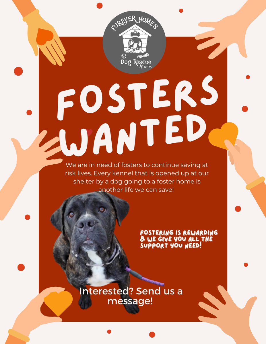 Furever Homes Dog Rescue of SETX (@fhdrofsetx) on Twitter photo 