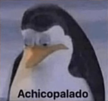 n_nanches's tweet photo. esta semana ha estado cansada (es lunes), no puedo creer q falten dos meses para acabar el año y uno oara acabar el semestre https://t.co/dO26lnAui8