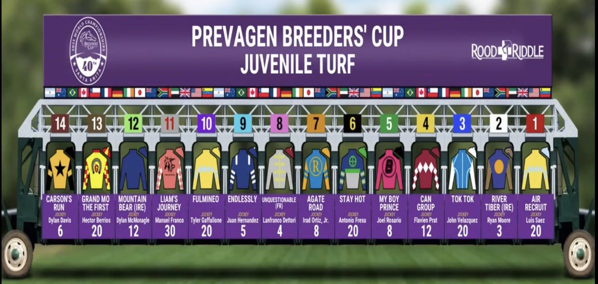 TwinSpires's tweet photo. Breeders’ Cup Juvenile Turf (GI) Field

Bet #BC23 @TwinSpires https://t.co/62txsAau4R
