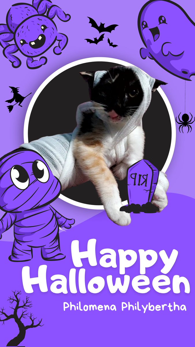 🛸𝐌𝐚𝐲𝐩𝐢𝐥𝐥𝐬𝟐𝟑♥︎ tweet media