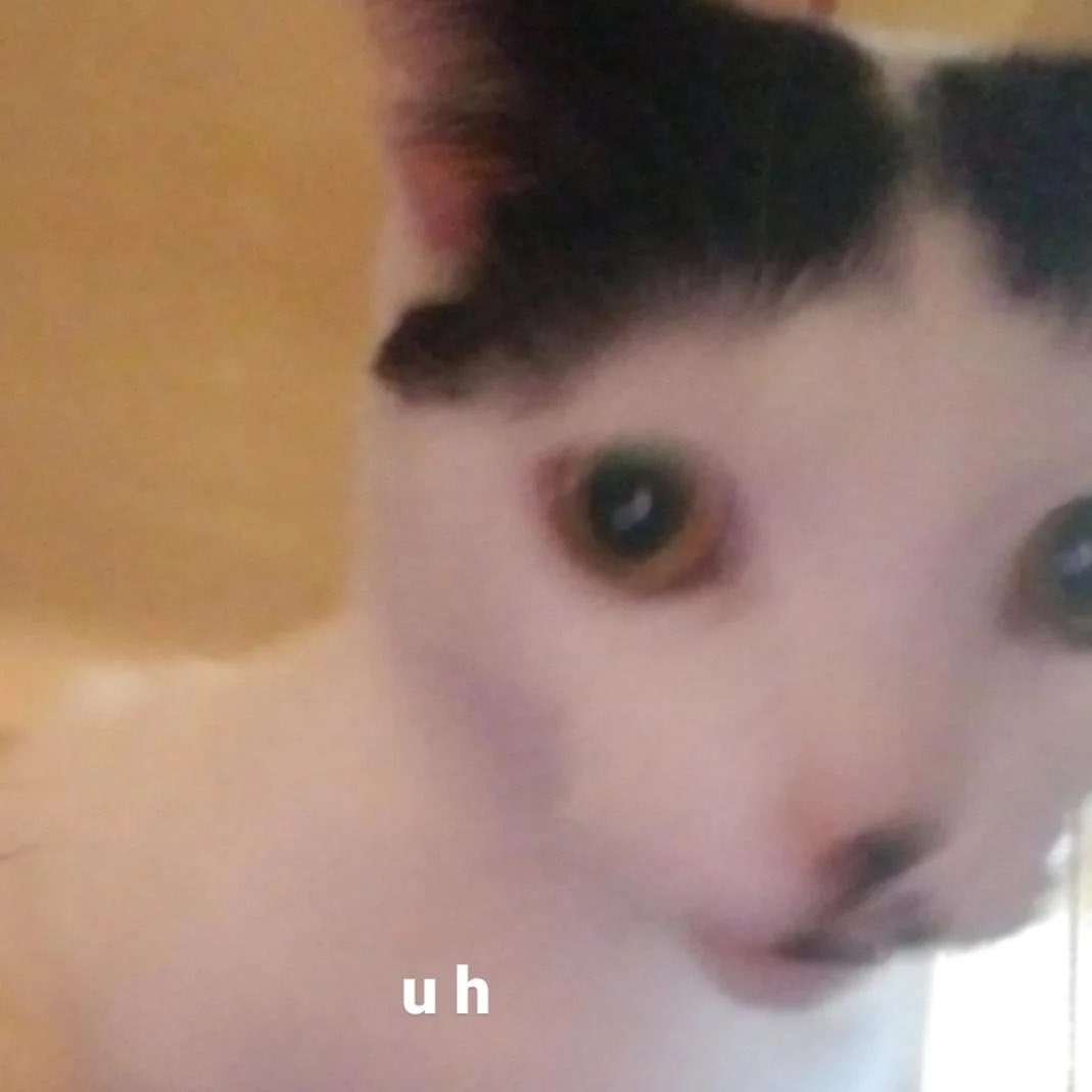 ‎ ‎ ‎ ‎‎ ‎ ‎‎ ‎‎ ‎ ‎‎ ‎ ‎ ‎‎ ‎ 💛 ‎ ‎ ‎ ‎‎ ‎ ‎ ‎ ‎ (@gcidenheart) on Twitter photo 