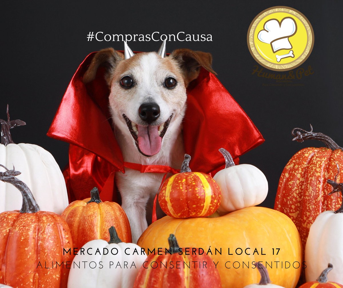 Human&Pet Alimentos tweet media