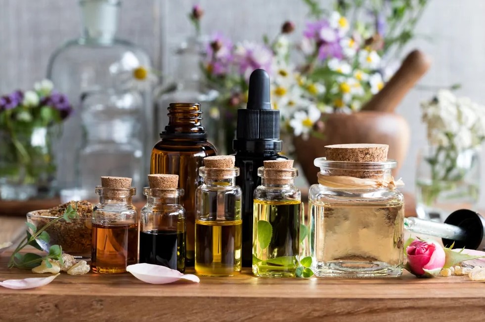 wellnesxcelerte's tweet image. 📚 Ready to explore a narrative of wellness and transformation? The secrets of essential oils are waiting for you. Claim your free eBook and embark on a journey filled with aromas, science, and personal growth. 🍃🕯️#WellnessJourney #EssentialOilMagic @jayantmuraliips