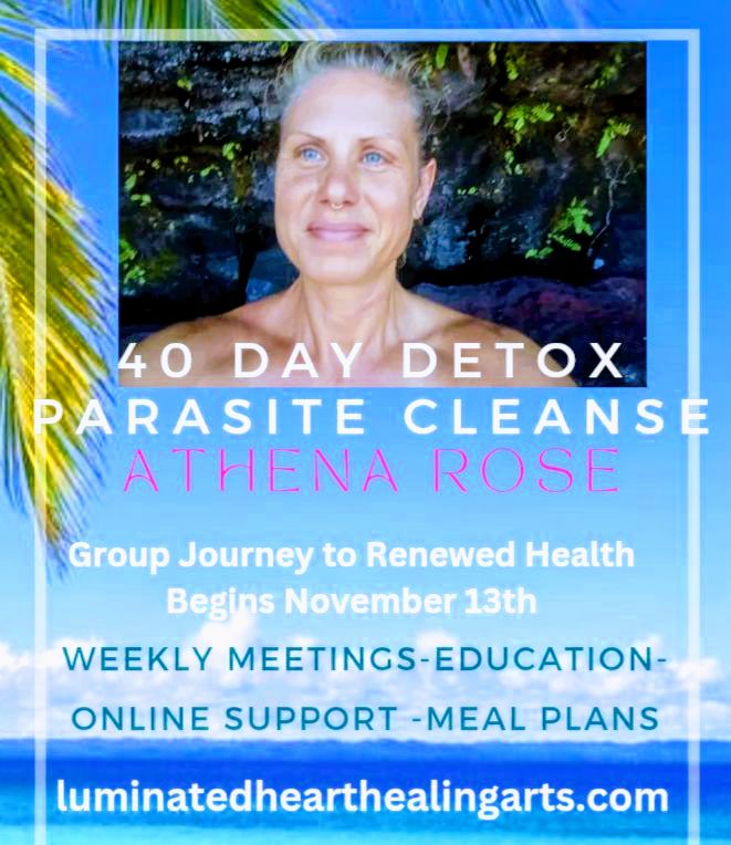 AthenaRoseAloha's tweet photo. A Healthy Gut starts in childhood! 🌿

If your mother fed you solid food too soon it may be affecting your digestion now! 

If you want to learn more join our upcoming 40 Day Group Detox starting November 13th. 

Reach out to me for more information
https://t.co/EI61Fy6q5T https://t.co/g94xgXUp6p