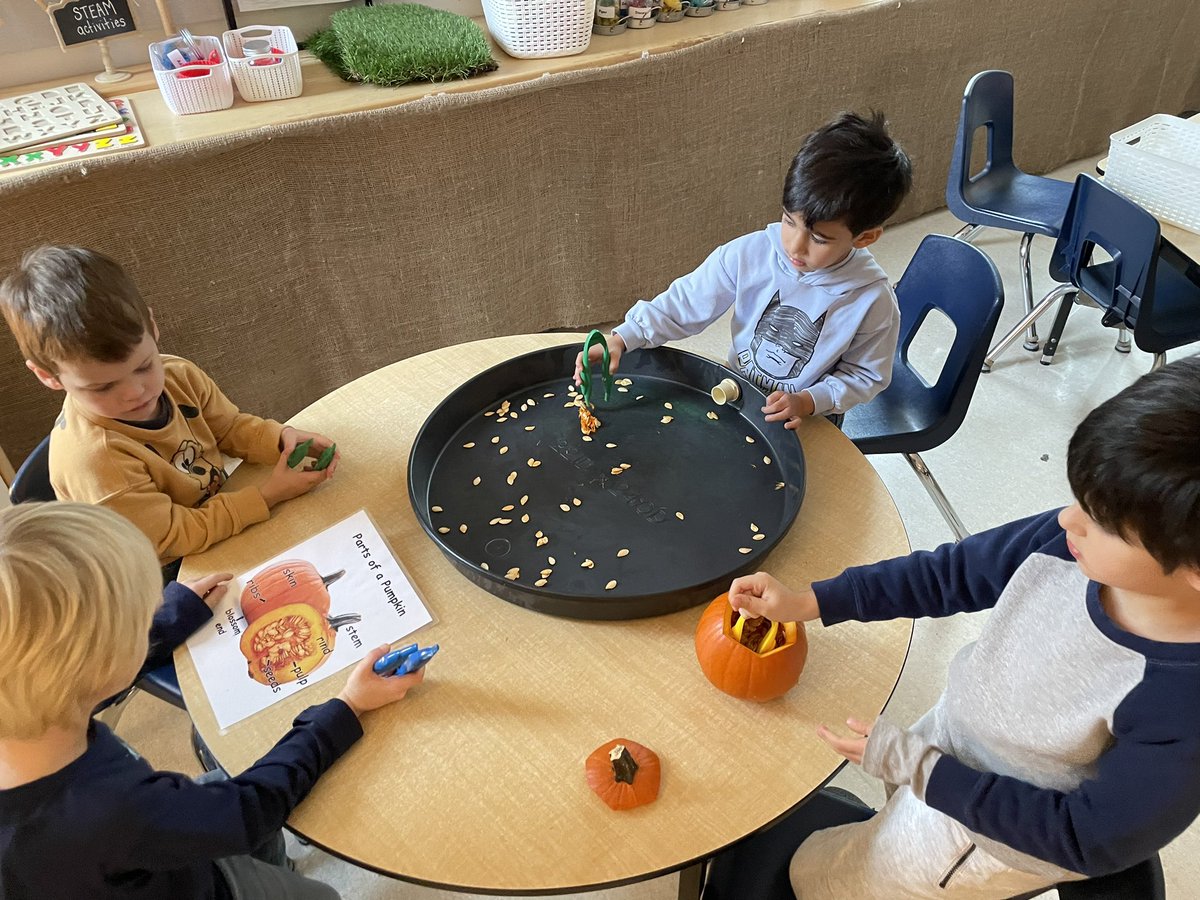 Exploring pumpkins today <a href="/AVG_Griffins/">A.V. Graham</a>!