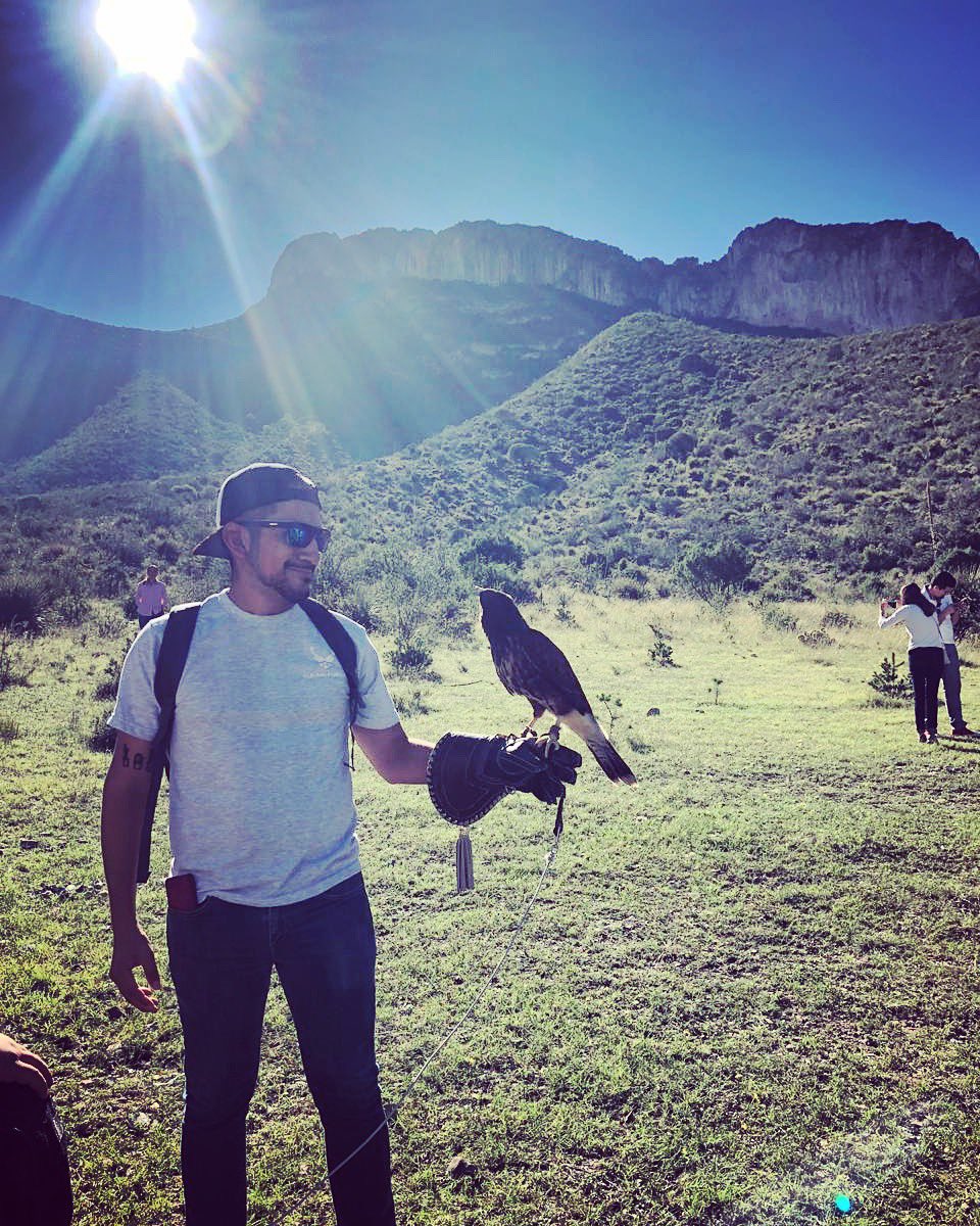 eliudcon's tweet photo. "Más vale pájaro en mano que ciento volando" https://t.co/tk0YZwaRmE