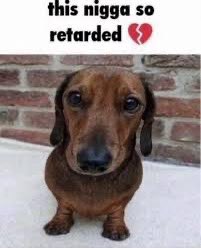 CatEnjoyer58's tweet image. 