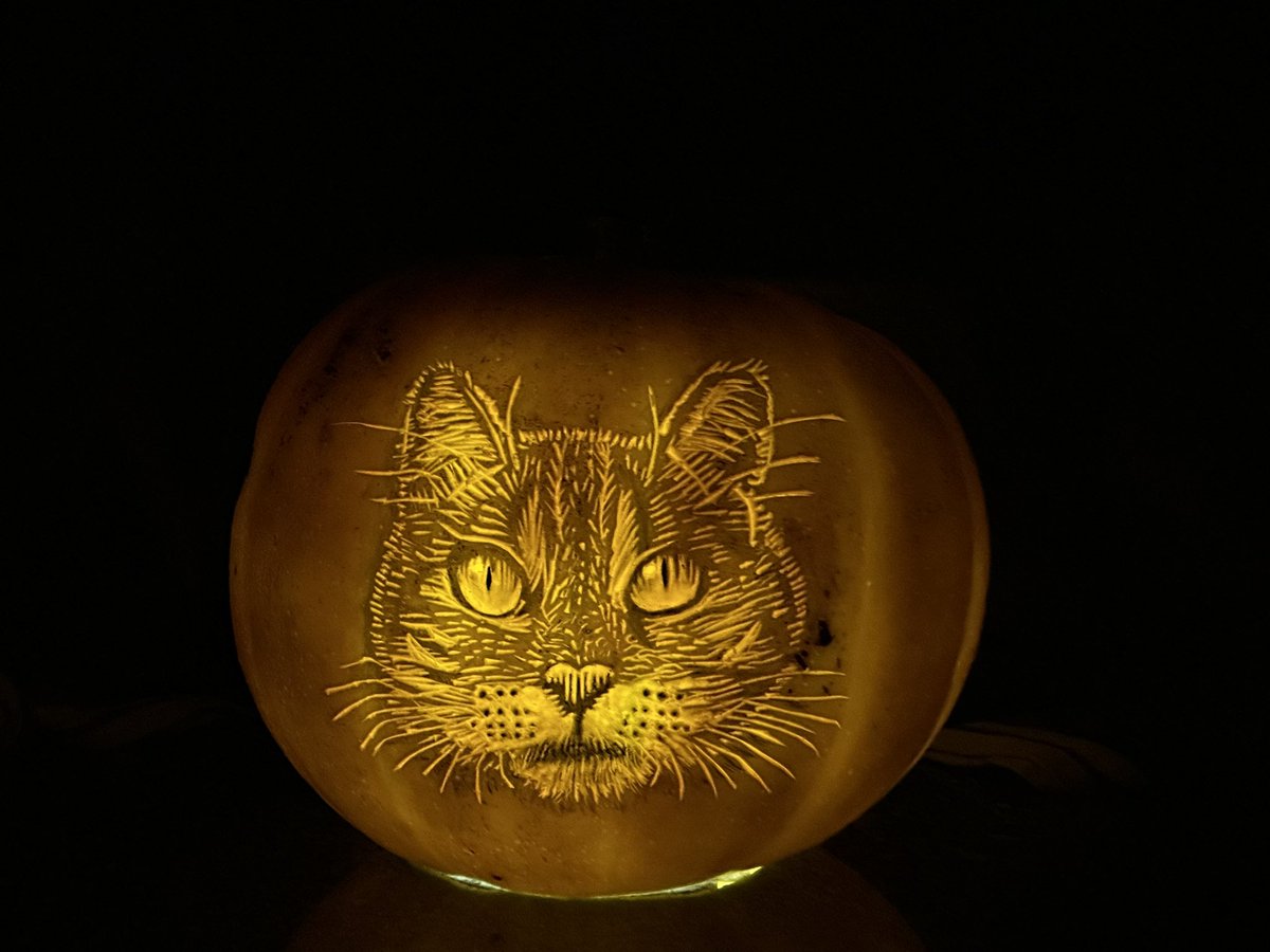reb_lambert's tweet photo. @YaleHomeUK @YaleHomeUK A very spooky Halloween cat 🎃🐈😄 https://t.co/YviwGlcQaX