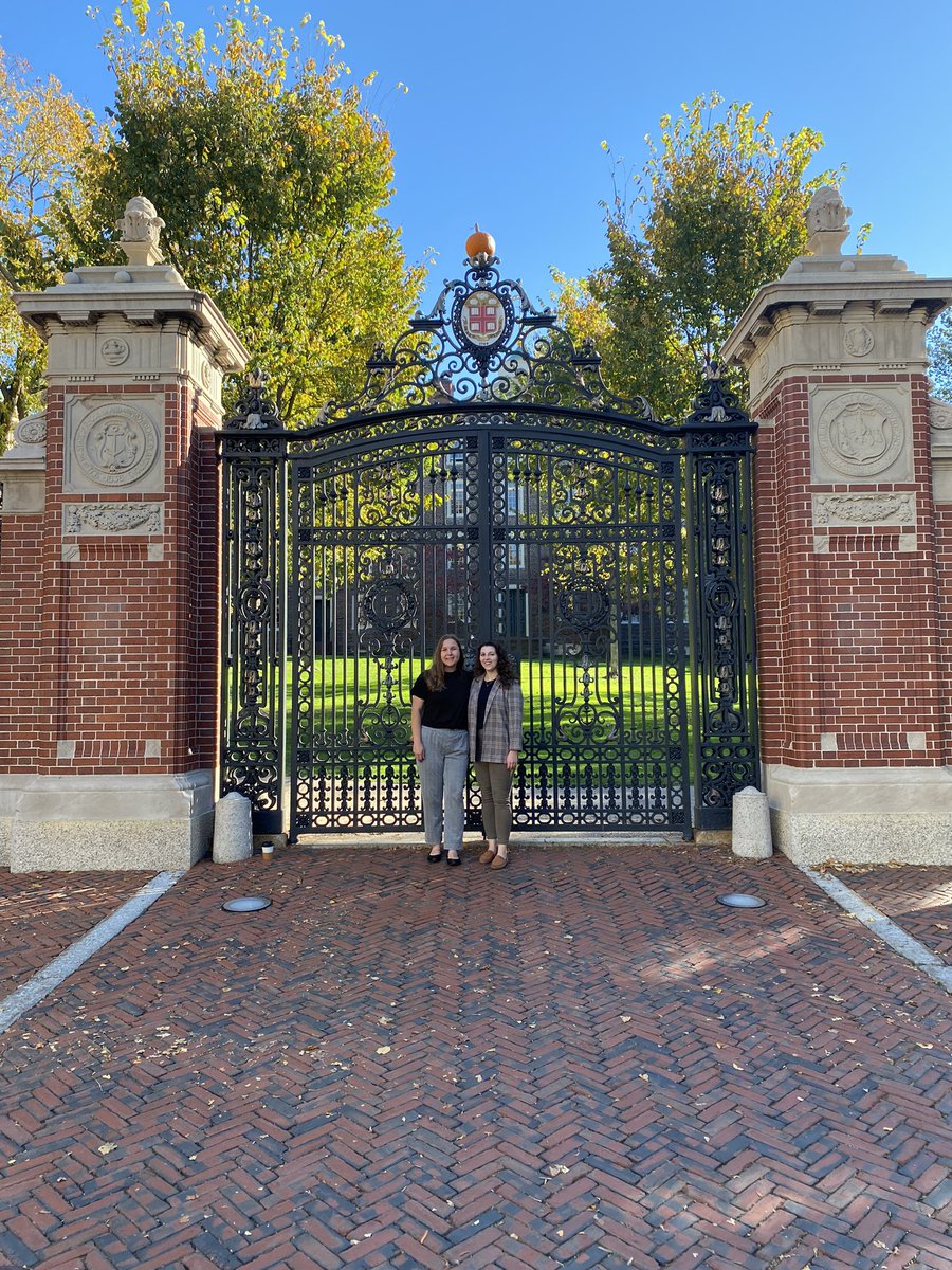 Emily Elia tweet media