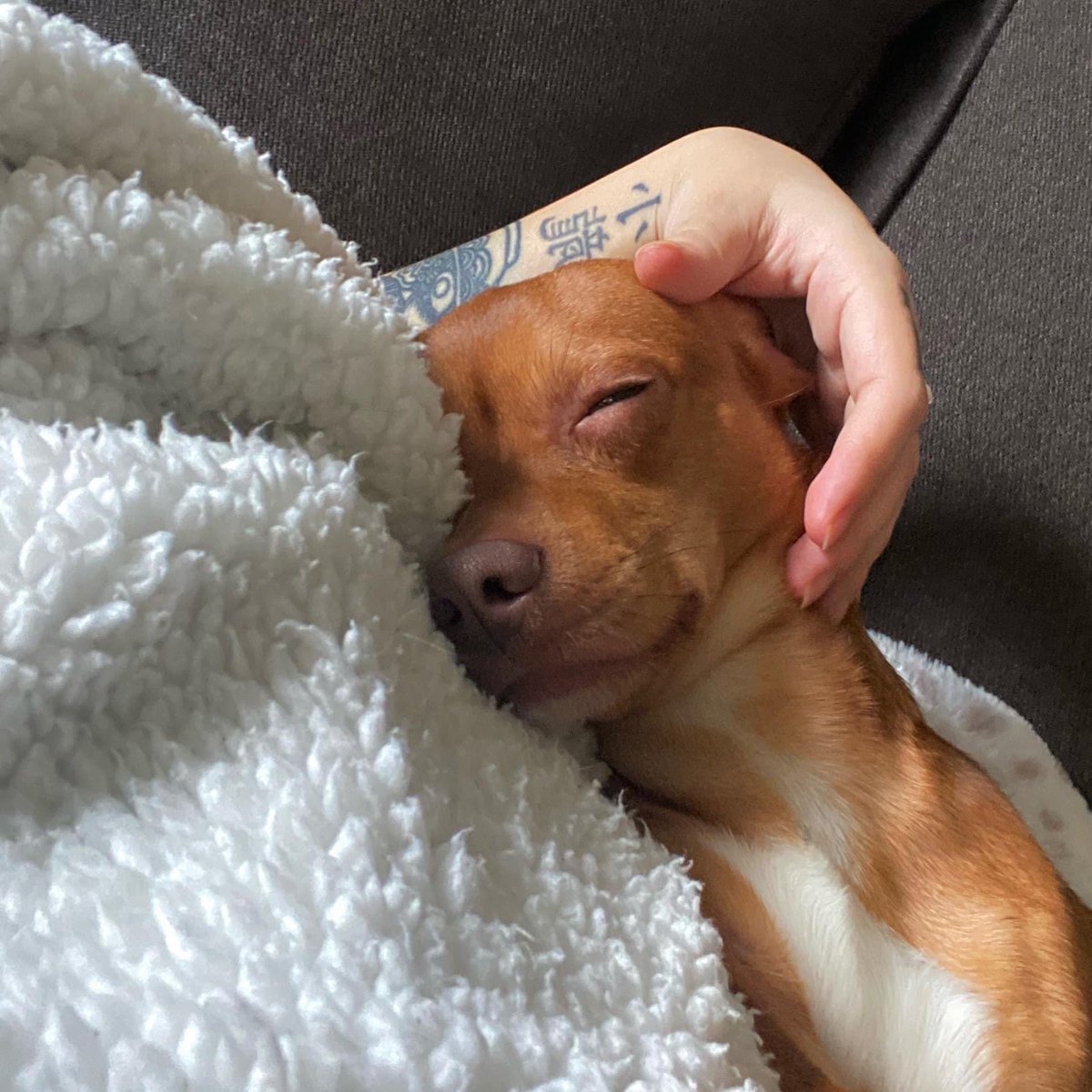 JillianBlack_'s tweet photo. my heart is so beyond broken what the fuck https://t.co/fPYxUYwXAF