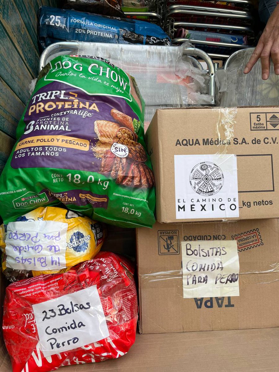 marthadelgado's tweet photo. Agradecemos también enormemente a todas las personas que se han unido con su apoyo para recolectar alimentos destinados a los animales de compañía en el centro de acopio de #ElCaminoDeMéxico. Ellos también nos necesitan. ¡#FuerzaGuerrero! 🐶🐱💪 https://t.co/M5RqCEXlRU