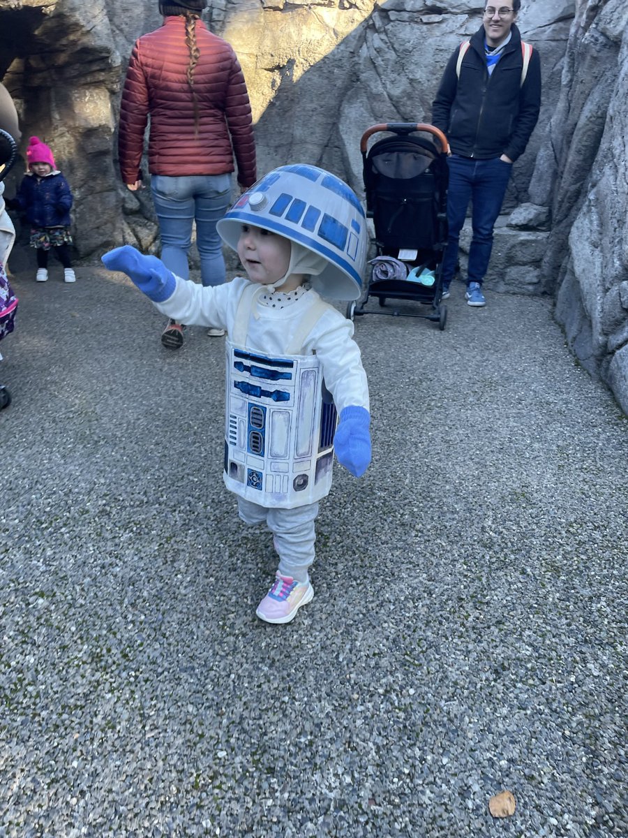 MrsCaiterBug's tweet photo. Is this the droid you are looking for @starwars ? https://t.co/rRE4PrabJW