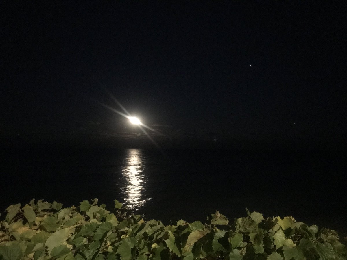 Moon and Jupiter over the Lake in Rogers Park.