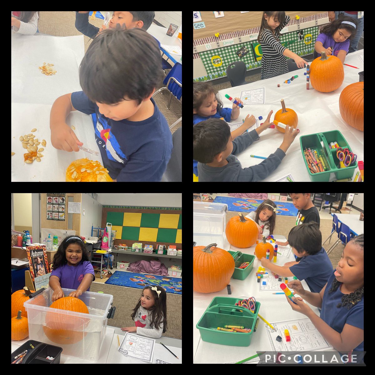@mission_rusd #ELOP TK/K kiddos using their science and math skills with pumpkins, after school! 🔍 🎃 #ThisIsRUSD #expandedlearning #explorationexperience @RedlandsUSD @RedlandsUSDSupt