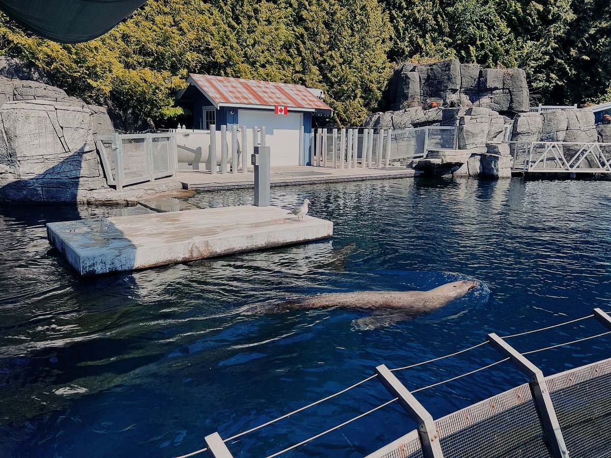 ewillette2003's tweet photo. “I love this Stanley Park, where I can waste my time at will.”😍✨ https://t.co/IlOWQyXOTo