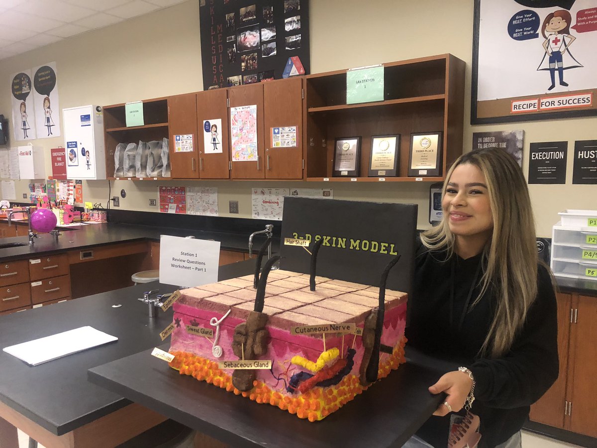 PhsReece's tweet photo. Post 3  PHS Anatomy and Physiology Honors’ students use their creative juices  to construct 3-D models of their skin!  Structure dictates function! @PorterSpartans @CTENCISD @condarco_cesar @OGE3AP https://t.co/aq0USuRW7s