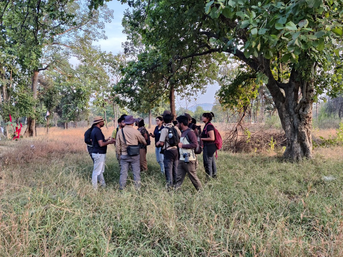 wii_india's tweet photo. 19th batch MSc Wildlife Science - (Wildlife Techniques Exercise -Day 2, 30/10/2023): The students performed sign survey, camera trap deployment &amp; occupancy analysis. @wii_india @mpforestdept @moefcc @vrtiwari1 @kramesh95 @himalayanwolf1
@lifeofawild @PannaTigerResrv https://t.co/EKBXygVMy6