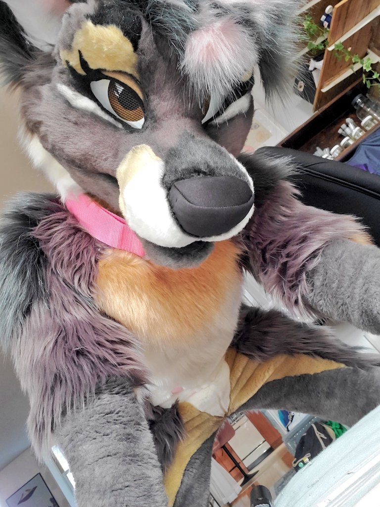 Hey it's been a while 💌
I miss y'all and I hope everyone is doing amazing, thinking about my furfriends 💓