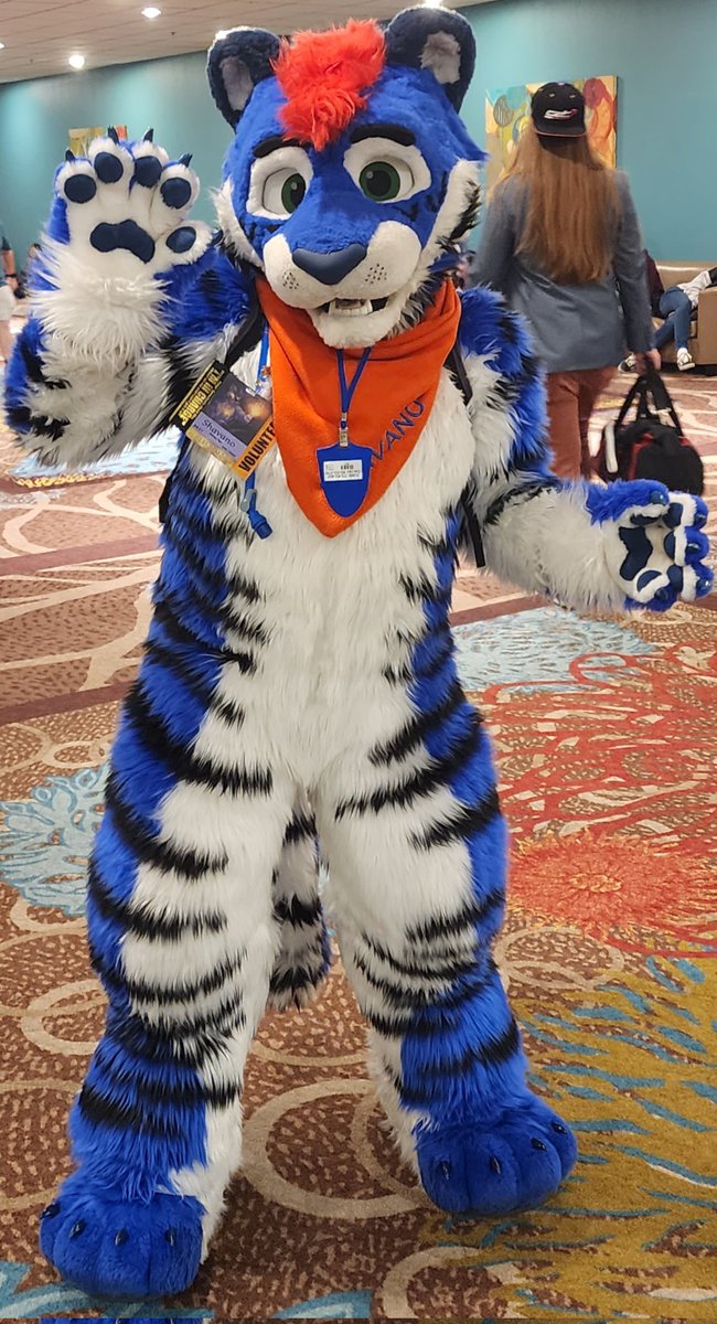 Tiger2wild tweet media