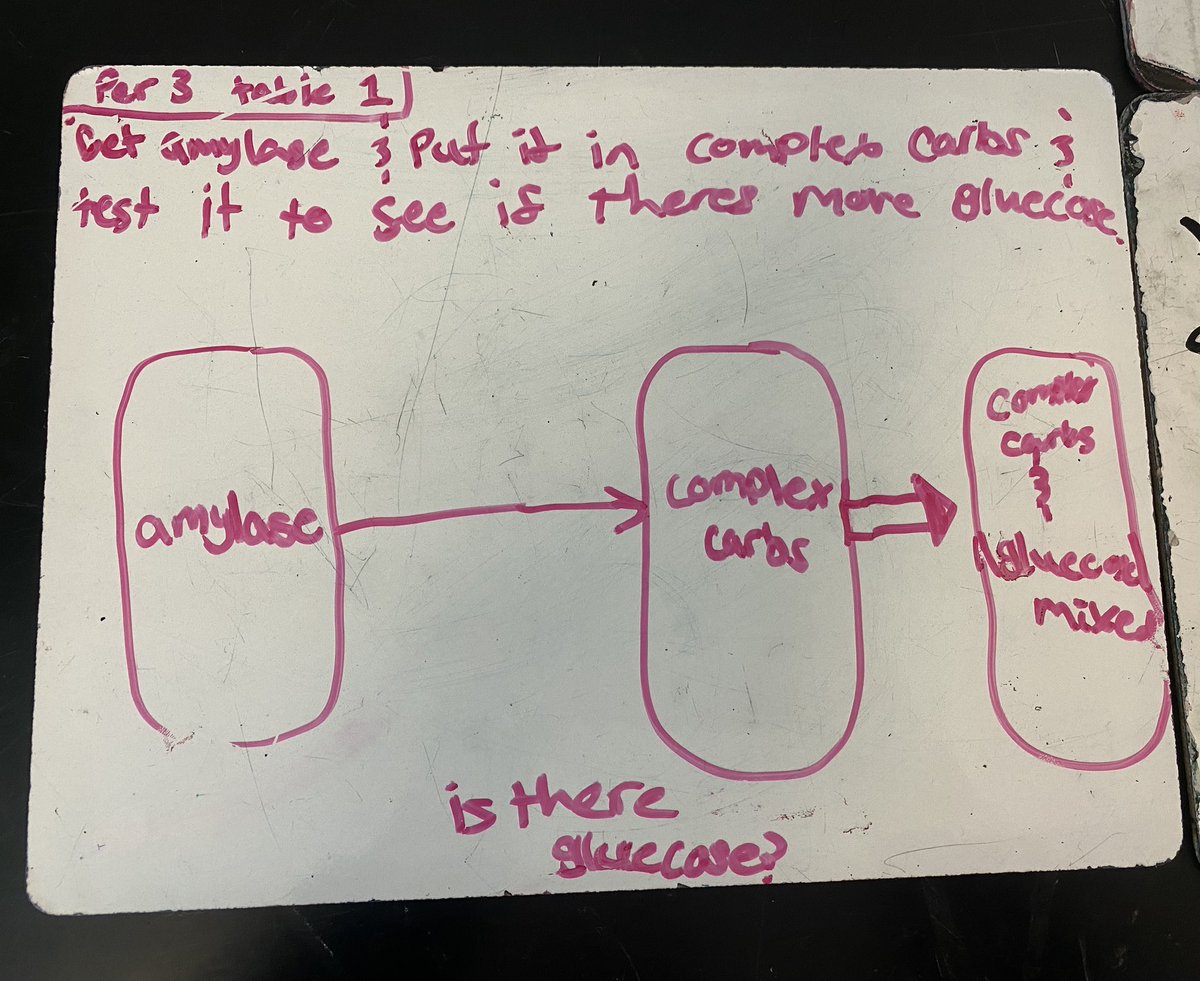 Planning an investigation can be part of a navigation routine—informal and in teams even!  After seeing ⬇️ complex carb levels linked with ⬆️glucose levels &amp; reading that amylase is in saliva, here’s what 7th graders came up with for our next steps!  <a href="/OpenSciEd/">OpenSciEd</a>