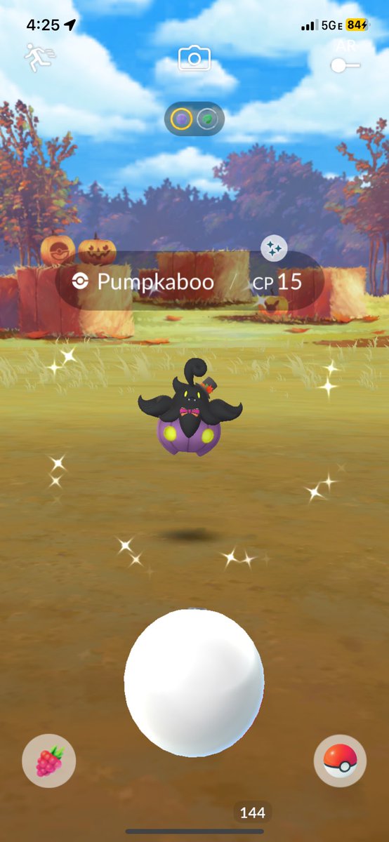 FINALLY!! My ✨Shiny Pumpkaboo✨
#ShinyPokemon #ShinyCheck #PokemonGo #ShinyBaby #PokemonGOHalloween