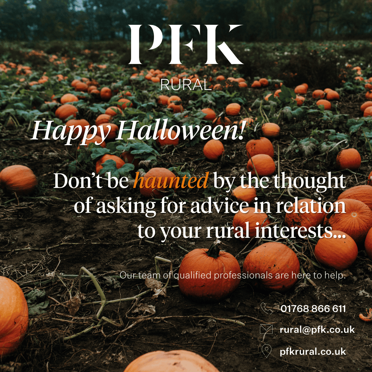 pfkrural's tweet photo. HAPPY HALLOWEEN! 🎃 

Don't be haunted by the thought of asking for advice in relation to your rural interests. Our team of qualified professionals are here to help. 

Visit https://t.co/Ro3wwgLUxi today and discover what really sets us apart. https://t.co/FcHiA6BIxz