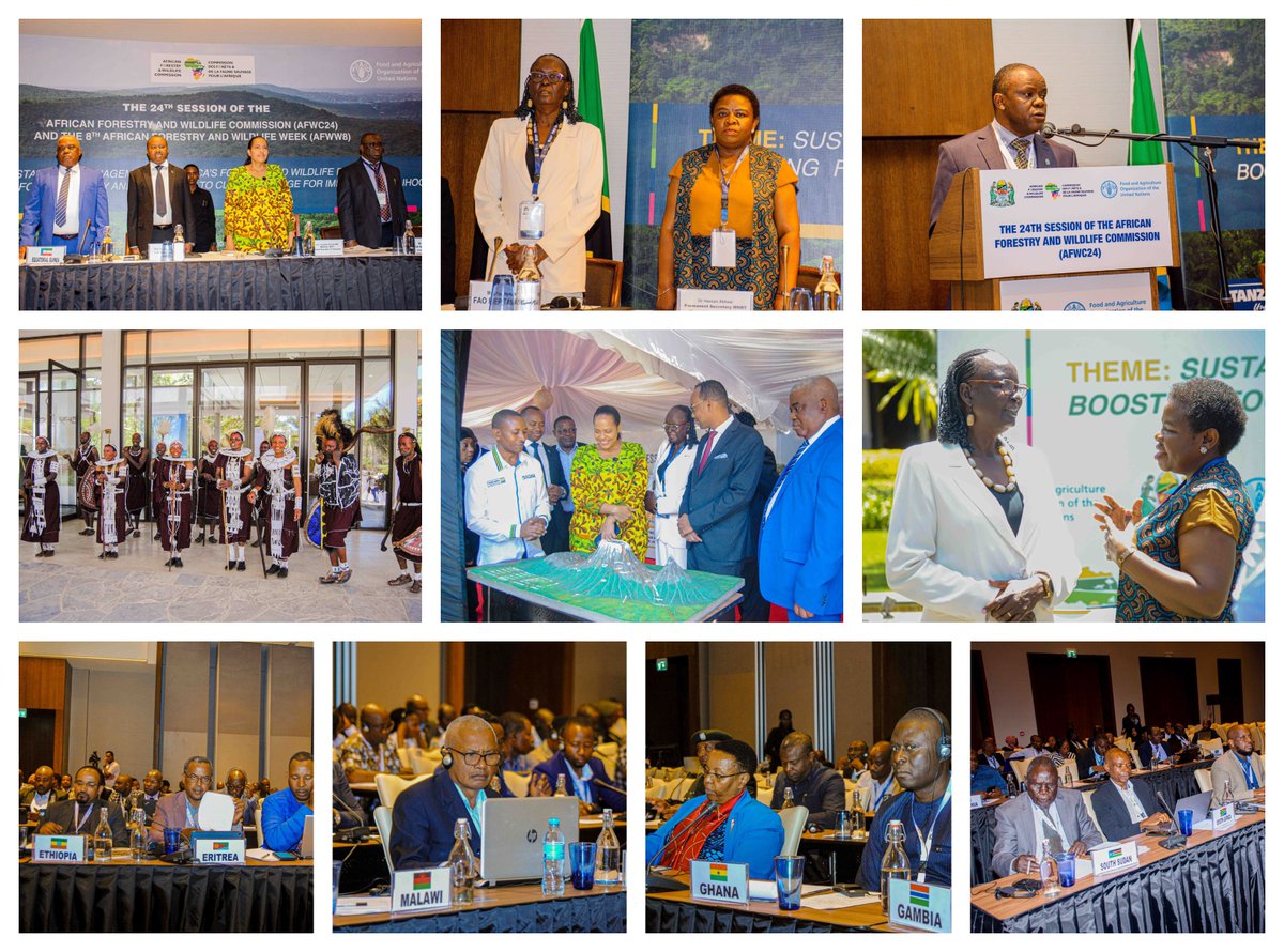 The 24th African Forestry &amp; Wildlife Commission session is underway in Arusha. 🌳🦁

The Session will address key issues on sustainable management of African forestry &amp; wildlife resources to boost food security &amp; resilience to climate change. 

👉🏾 bit.ly/474Q3rD