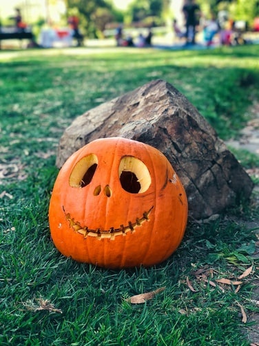 Happy Halloween! What are you planning to do with your pumpkin tomorrow? We don't accept pumpkins in brown bins but you can compost them at home! Check out greatgreensystems.com/leeds-council/ for a discount on a compost bin.If you don't want to eat/ compost your pumpkin, black bin, please🎃