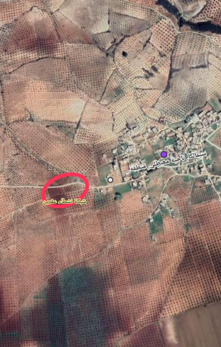 afrinactivists's tweet photo. The source added that they stole the crop despite they are in the owners village. The family filed a complaint to competent authorities of the Turkish oc.cupation but in vain. https://t.co/os7mgtgvul