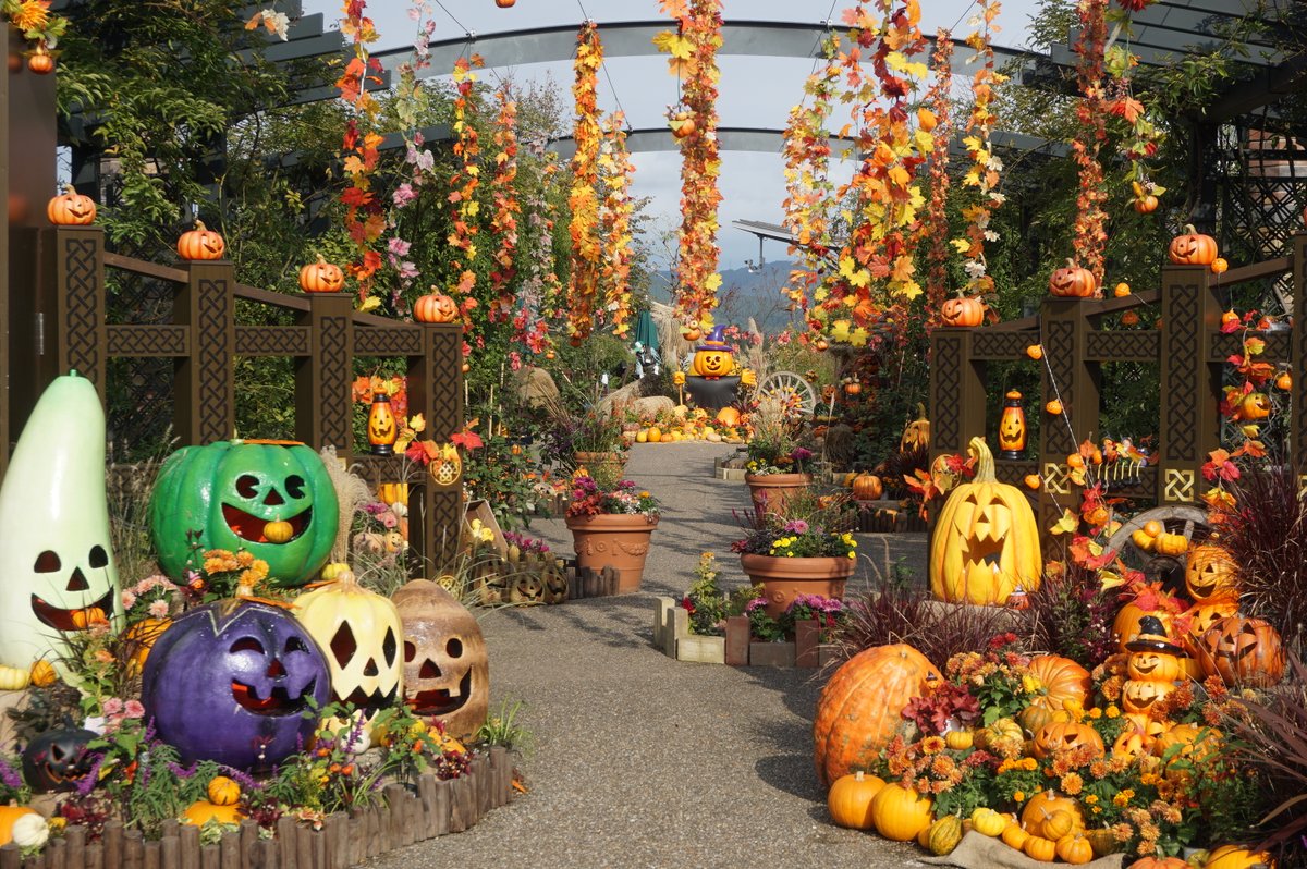 echigo_park's tweet photo. 今日はHALLOWEEN!!
平日にもかかわらず、魔女やオバケの仮装をしたチビッコたちやワンちゃんがたくさん来園してくれました♪
ハッピーハロウィンの装飾は11/5（日）までご覧いただけます。

#Halloween 
＃ハロウィン
＃越後丘陵公園
＃ハッピーハロウィン https://t.co/a31bm8awkG